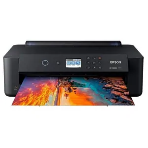 Замена памперса на принтере Epson HD XP-15000 в Ростове-на-Дону